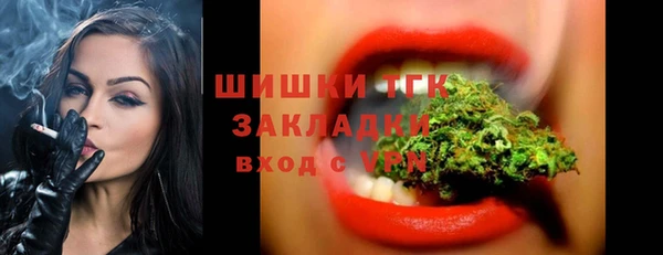 прущие крисы Рославль