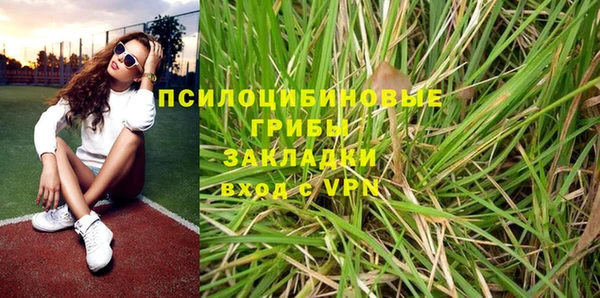 дживик Балахна