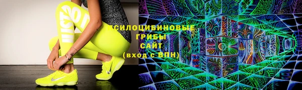 дживик Балахна
